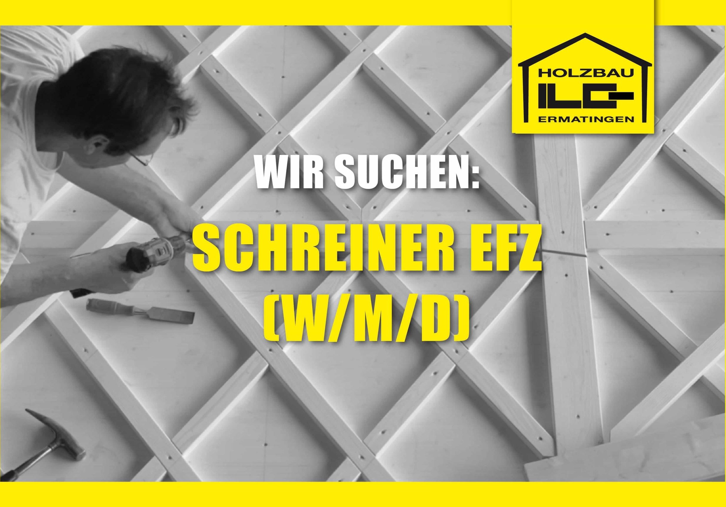 Vorlage 297x197 Jobs Schreiner EFZ